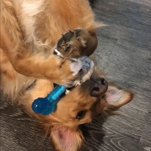 Meet your Posher, Denise